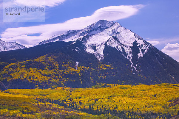 Vereinigte Staaten von Amerika  USA  Berg  Amerika  Herbst  Jahreszeit  Espe  Populus tremula  Rocky Mountains  Berggipfel  Gipfel  Spitze  Spitzen  Colorado  National Forest  Nationalforst