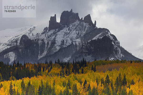 Vereinigte Staaten von Amerika  USA  Berg  Amerika  Herbst  Jahreszeit  Espe  Populus tremula  Rocky Mountains  Berggipfel  Gipfel  Spitze  Spitzen  Colorado  National Forest  Nationalforst