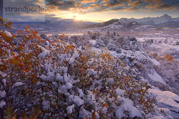 Vereinigte Staaten von Amerika  USA  Amerika  Sonnenuntergang  Baum  Landschaft  Herbst  Colorado  Schnee
