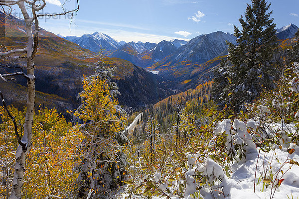 Vereinigte Staaten von Amerika  USA  Gebirge  Berg  Amerika  Baum  Tal  Berggipfel  Gipfel  Spitze  Spitzen  Herbst  Colorado  Gebirgszug  Schnee