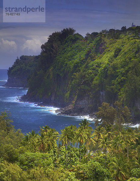 Vereinigte Staaten von Amerika  USA  Hawaii  Big Island  Palme  Amerika  Ozean  Küste  Tal  Tourist  Aussichtspunkt  Pazifischer Ozean  Pazifik  Stiller Ozean  Großer Ozean  Hilo  Hawaii  Tourismus