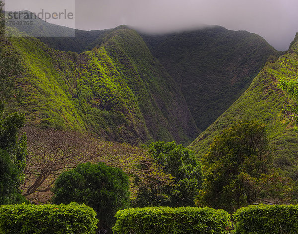 Vereinigte Staaten von Amerika  USA  Amerika  Wolke  Sturm  grün  Tal  Regen  Hawaii  Maui  steil