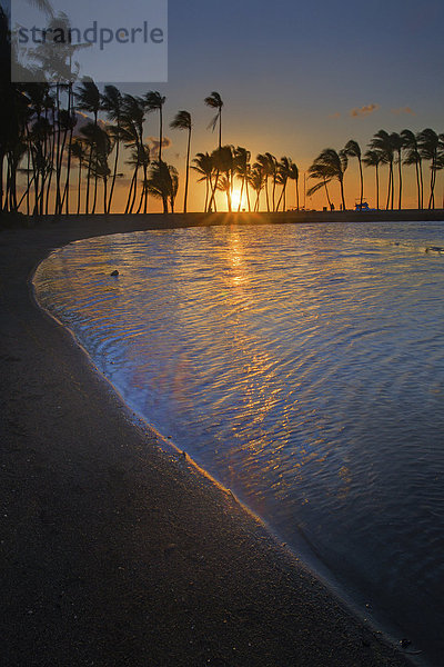 Vereinigte Staaten von Amerika  USA  Hawaii  Big Island  Palme  Amerika  Sonnenuntergang  Meer  Hawaii  Pazifischer Ozean  Pazifik  Stiller Ozean  Großer Ozean