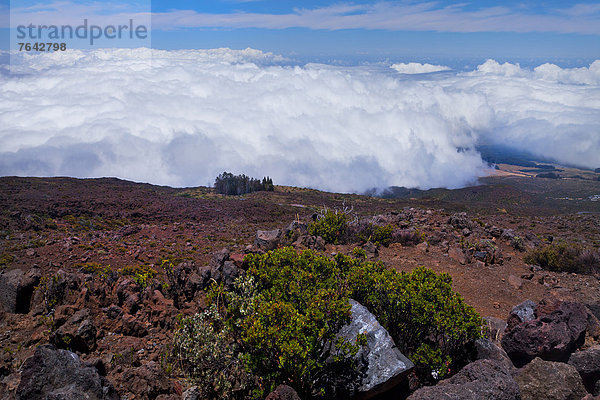Vereinigte Staaten von Amerika  USA  Haleakala  East Maui Volcano  Nationalpark  Amerika  Landschaft  Krater  Hawaii  Maui