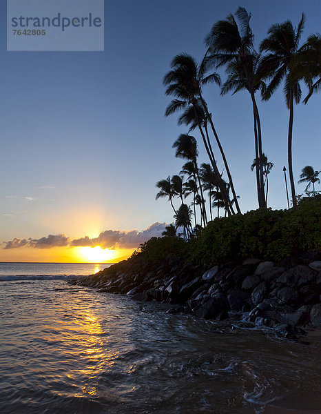Vereinigte Staaten von Amerika  USA  Palme  Amerika  Sonnenuntergang  Ozean  Pazifischer Ozean  Pazifik  Stiller Ozean  Großer Ozean  Hawaii  napili bay