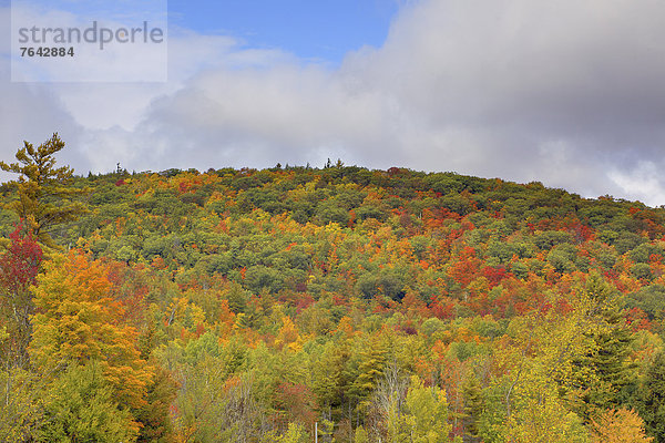 Vereinigte Staaten von Amerika  USA  Farbaufnahme  Farbe  Amerika  Natur  Herbst  Jahreszeit  Laub  New York State