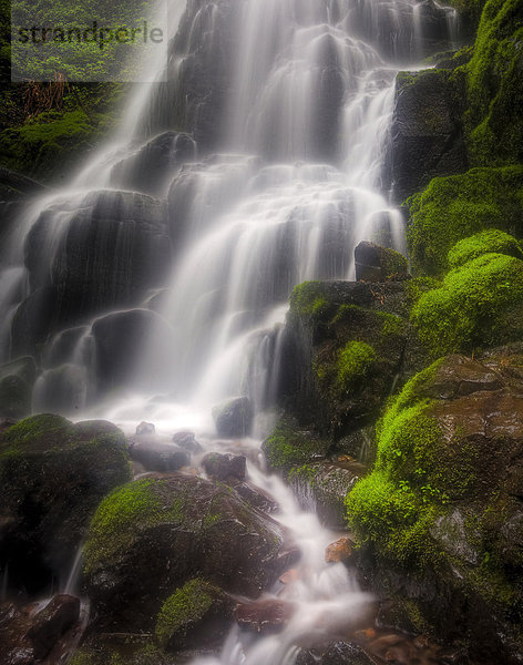 Vereinigte Staaten von Amerika  USA  Landschaftlich schön  landschaftlich reizvoll  Wasser  Amerika  grün  Wasserfall  Zimmer  Hood River  Moos  Oregon