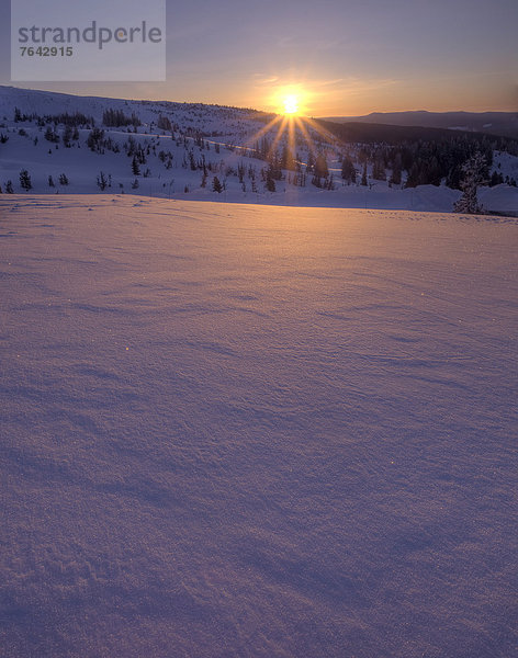 Vereinigte Staaten von Amerika  USA  Winter  Amerika  Sonnenuntergang  Jahreszeit  Mount Hood  National Forest  Nationalforst  Oregon  Schnee