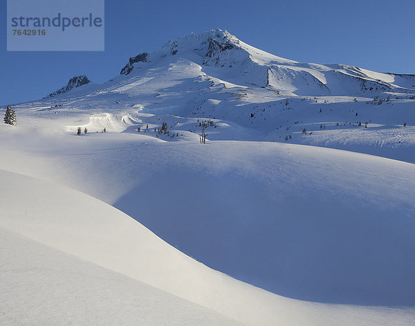 Vereinigte Staaten von Amerika  USA  Winter  Amerika  Himmel  blau  Jahreszeit  Mount Hood  National Forest  Nationalforst  Oregon  Schnee