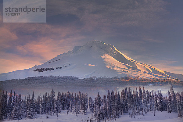 Vereinigte Staaten von Amerika  USA  Winter  Amerika  Wolke  Baum  Sonnenaufgang  Jahreszeit  Mount Hood  National Forest  Nationalforst  Oregon  Schnee