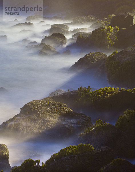 Vereinigte Staaten von Amerika  USA  Felsbrocken  Landschaftlich schön  landschaftlich reizvoll  Wasser  Amerika  Strand  Landschaft  Sturm  Ozean  Steilküste  Küste  Natur  Heuhaufen  Oregon  Wetter