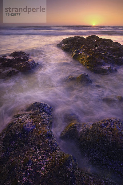 Vereinigte Staaten von Amerika  USA  State Park  Provincial Park  Felsbrocken  Landschaftlich schön  landschaftlich reizvoll  Wasser  Amerika  Strand  Sonnenuntergang  Landschaft  Ozean  Steilküste  Küste  Natur  Oregon