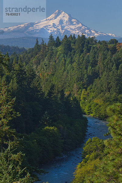 Vereinigte Staaten von Amerika  USA  Gebirge  Berg  Amerika  Himmel  Wald  Fluss  Berggipfel  Gipfel  Spitze  Spitzen  blau  Mackenzie River  Gebirgszug  Oregon