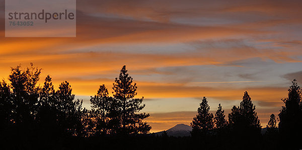 Vereinigte Staaten von Amerika  USA  Panorama  Biegung  Biegungen  Kurve  Kurven  gewölbt  Bogen  gebogen  Amerika  Sonnenuntergang  Landschaft  niemand  Natur  Nordamerika  Cascade Mountain  Oregon