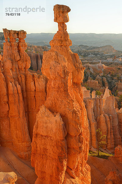 Vereinigte Staaten von Amerika  USA  Nationalpark  Felsbrocken  Hochformat  Amerika  Landschaft  niemand  Anordnung  Säule  Nordamerika  Hochebene  Bryce Canyon Nationalpark  Schlucht  Colorado  Sandstein  Utah