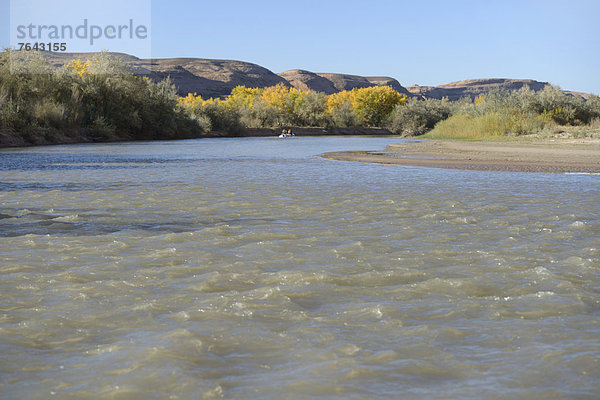Vereinigte Staaten von Amerika  USA  Amerika  Landschaftlich schön  landschaftlich reizvoll  Natur  Fluss  Nordamerika  Wildwasser  Hochebene  Colorado  San Juan  Utah