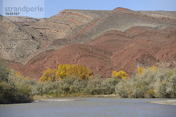 Vereinigte Staaten von Amerika  USA  Amerika  Hügel  Geologie  Landschaftlich schön  landschaftlich reizvoll  Fluss  Herbst  Nordamerika  Hochebene  Colorado  Utah