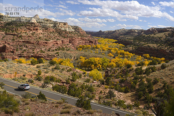 Vereinigte Staaten von Amerika  USA  Landschaftlich schön  landschaftlich reizvoll  Amerika  Auto  Baum  Landschaft  fahren  Natur  Fluss  Nordamerika  Bundesstraße  Hochebene  Slickrock Trail  Boulder  Schlucht  Colorado  National Monument  Utah