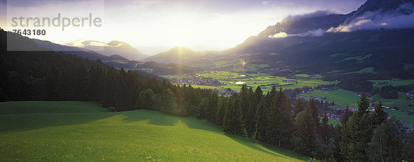 Europa Urlaub Reise Sommer Abend Wald Holz Wiese Abenddämmerung Gegenlicht Österreich Stimmung Tirol
