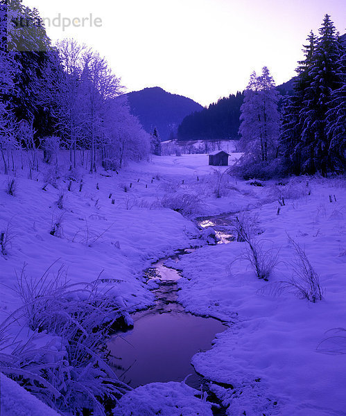 hoch  oben  Kälte  Wasser  Europa  Winter  ruhen  Reise  Abend  Ruhe  Baum  Bach  Stille  Gegenlicht  Österreich  Rest  Überrest  Schnee  Tourismus  Tirol