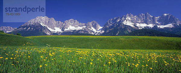 Panorama  Hütte  Europa  Berg  Urlaub  ruhen  Sommer  Ruhe  gehen  gelb  grün  Natur  Stille  Alpen  blau  Wiese  Gras  Sommerurlaub  Österreich  Löwenzahn  Rest  Überrest  Tirol