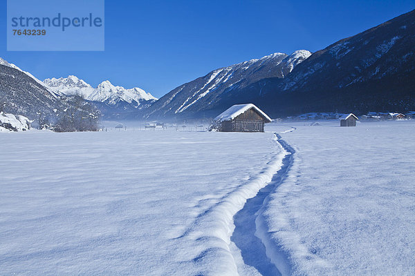 Spur Europa Berg Winter ruhen Reise Ruhe Himmel Wald Holz Stille blau Österreich Imst Rest Überrest Schnee Tirol