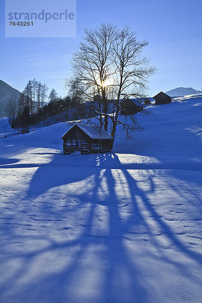 hoch  oben  leer  Europa  Winter  Urlaub  ruhen  Reise  Ruhe  schattig  Baum  Himmel  Stille  blau  Österreich  Rest  Überrest  Schnee  Sonne  Tirol