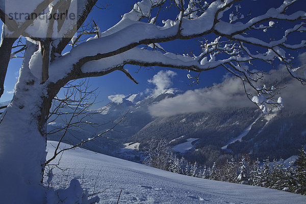 Europa Berg Winter Urlaub ruhen Wolke Reise Ruhe Baum Himmel Wald weiß Natur Holz Stille Ast blau binden Österreich Hinterthiersee Rest Überrest Schnee Thiersee Tirol