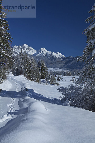 hoch oben Europa Berg Winter Urlaub ruhen Reise Ruhe Baum Himmel Wald weiß Natur Holz Stille blau Österreich Rest Überrest Schnee Tirol