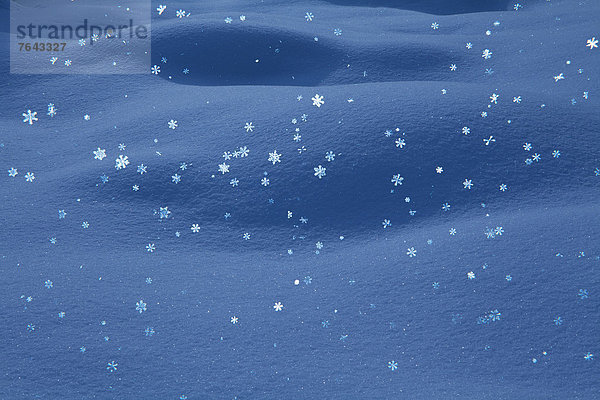 Kälte  Reuse  Europa  Winter  Schneeflocke  Eis  Natur  Hintergrund  blau  glitzern  Abblättern  Österreich  Schnee  Tirol
