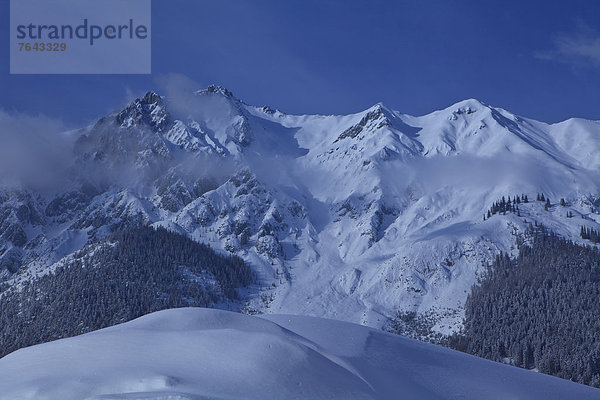 leer Europa Berg Winter Urlaub ruhen Wolke Reise Ruhe Himmel Wald Natur Holz Stille Österreich Mieminger Plateau Rest Überrest Schnee Tirol