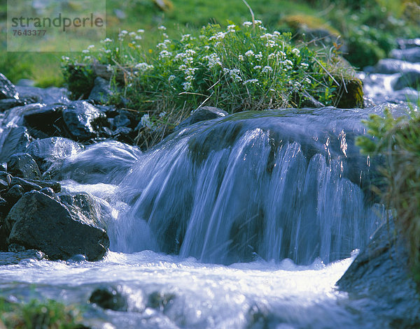 Wasser  Europa  Stein  Frische  sauber  Natur  fließen  Bach  Wasserfall  Bewegungsunschärfe  Gras  Außerfern  Österreich  Ehrwald  Tirol