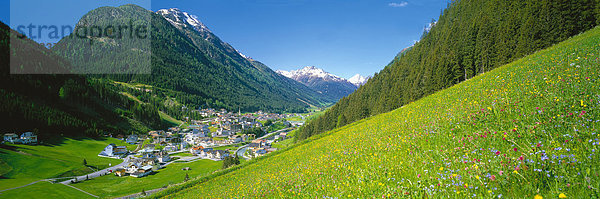 Blumenwiese Europa Berg Urlaub Reise Sommer Ruhe Himmel Gesundheit Ziel Wald Hotel Natur Holz Stille Wiese Löwenzahn Österreich Klee Platz Schnee Tourismus Tirol