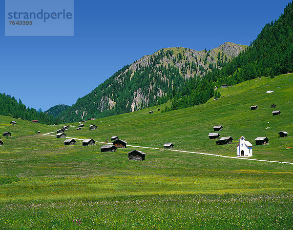 Europa  Berg  Natur  Wiese  Österreich  Tirol