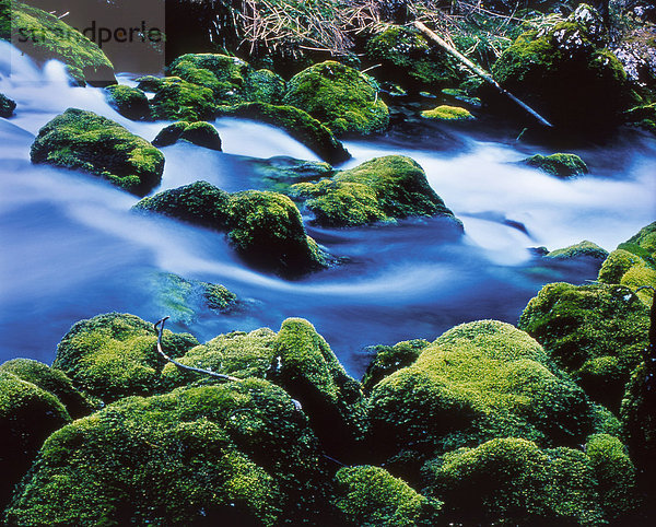 Wasser  Europa  Stein  ruhen  Ruhe  grün  Natur  fließen  Stille  blau  Bach  Bewegungsunschärfe  sauber  Österreich  Moos  Rest  Überrest