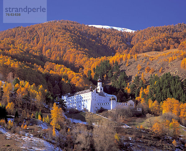Kreuzgang  gelb  weiß  Herbst  blau  Lärche  Trentino Südtirol  braun  Italien  Schnee