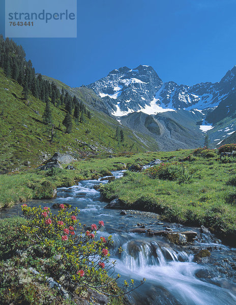 hoch oben Wasser Europa Berg Urlaub Blume Sommer Natur fließen Bach Alpen Bewegungsunschärfe Ötztaler Alpen Österreich Ötztal Pitztal Schnee Tirol