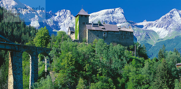 Europa  Berg  Palast  Schloß  Schlösser  Reise  Baum  Natur  Kultur  Alpen  Zug  Österreich  Tirol