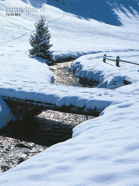hoch  oben  leer  Wasser  Europa  Winter  ruhen  Ruhe  Baum  Natur  Bach  Stille  Zaun  Spur  Fichte  Österreich  Rest  Überrest  Schnee  Tirol