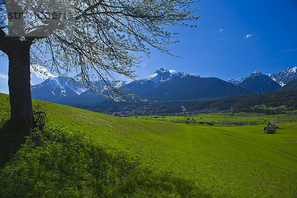 Europa  Berg  Urlaub  ruhen  Reise  Ruhe  Baum  Himmel  Landschaft  grün  Stille  Alpen  blau  Wiese  Kultur  Gegenstand  Österreich  Rest  Überrest  Schnee  Tirol