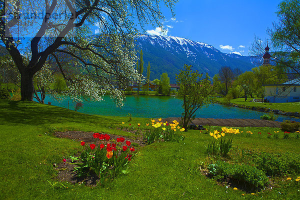 Wasser  Europa  Berg  Urlaub  ruhen  Blume  Reise  Ruhe  Himmel  Rasen  See  Natur  Kirche  Garten  Stille  Tulpe  Österreich  Rest  Überrest  Schnee  Tirol