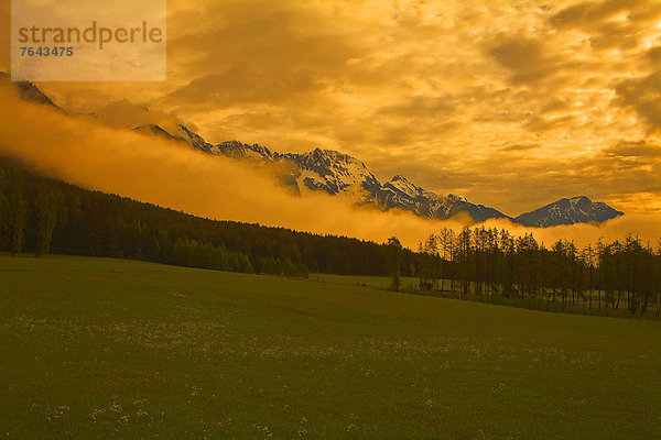 Europa Berg Wolke Sommer gelb Beleuchtung Licht Himmel grün Wald Natur Nebel Holz Wiese Österreich Hohe Munde Mieminger Plateau Stimmung Schnee Tirol Morgenstimmung