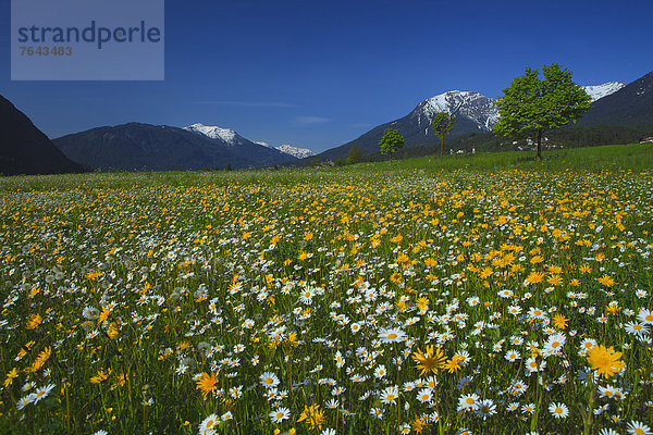 Europa  Berg  Urlaub  ruhen  Reise  Sommer  Ruhe  gelb  Himmel  Gesundheit  grün  Landwirtschaft  weiß  Natur  Stille  blau  Wiese  Sommerurlaub  Österreich  Rest  Überrest  Schnee  Tirol
