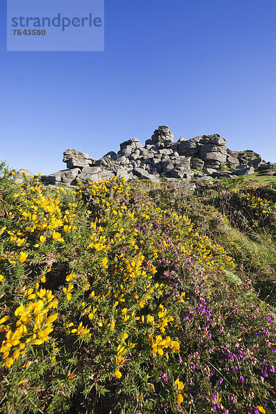 Devon  England