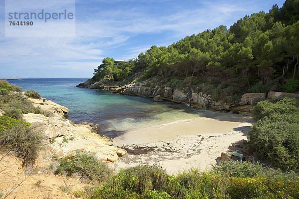 Außenaufnahme  Landschaftlich schön  landschaftlich reizvoll  Europa  Tag  Strand  Landschaft  Küste  niemand  Meer  Natur  Mallorca  Sandstrand  Balearen  Balearische Inseln  Spanien