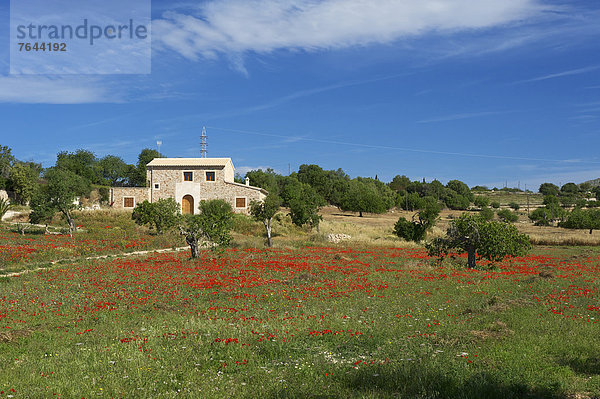 Außenaufnahme Landschaftlich schön landschaftlich reizvoll Herrenhaus Europa Tag niemand Mallorca Mohn Balearen Balearische Inseln Finca Spanien