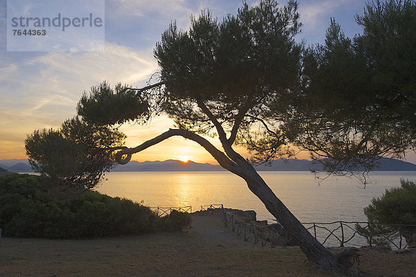 Außenaufnahme  Landschaftlich schön  landschaftlich reizvoll  Europa  Abend  Sonnenuntergang  Landschaft  Küste  niemand  Meer  Stimmung  Natur  Mallorca  Alcudia  Balearen  Balearische Inseln  Spanien