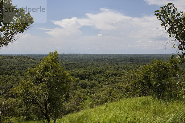 Ostafrika  Nationalpark  Laubwald  Landschaft  Landschaftlich schön  landschaftlich reizvoll  Natur  Ansicht  Afrika  Uganda