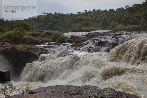 Ostafrika  Nationalpark  Wasser  Landschaft  Landschaftlich schön  landschaftlich reizvoll  Natur  Fluss  Wasserfall  Afrika  Uganda