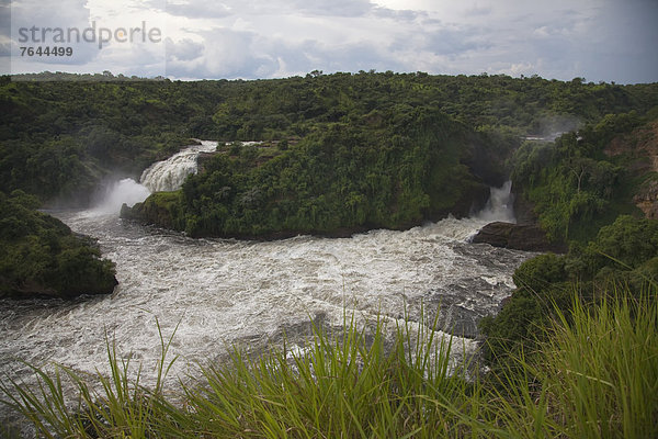 Ostafrika  Nationalpark  Wasser  Landschaft  Landschaftlich schön  landschaftlich reizvoll  Natur  Fluss  Wasserfall  Afrika  Uganda